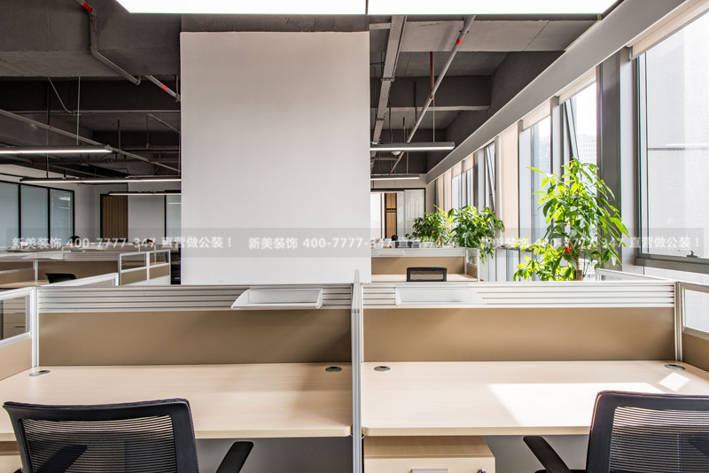 新美装饰-上云朵 (14).jpg