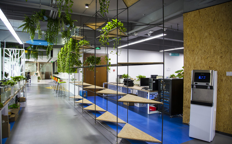 如何选择好复制办公室中的绿植？